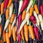 Heirloom Rainbow Yellow White Purple Orange Red Carrot Vegetable Mixed Seeds