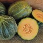 20 Pcs Rare Heirloom Small Emerald Gem Melon Cucumis Melo