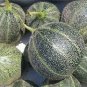 20 Pcs Rare Heirloom Small Emerald Gem Melon Cucumis Melo