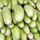 20 Pcs Practical NEW Seeds Cucumber Bilyy Anhel-White Angel Organic Vegetable 20 Pcs Practical NEW Seeds Cucumber Bilyy Anhel-White Angel Organic Vegetable
