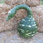 10 Pcs Speckled Swan Gourd Lagenaria Siceraria