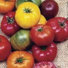 100 Pcs Tomato Mixed Giant Vegetable 100 Pcs Tomato Mixed Giant Vegetable