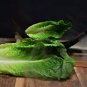 200 Pcs Romaine Lettuce (Lactuca L. var. longifolia) Vegetable
