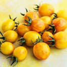 100 Pcs Sunrise Bumble Bee Tomato Sweet Tangy Fruit Cheerful Marbled Red Yellow Fruits 100 Pcs Sunrise Bumble Bee Tomato Sweet Tangy Fruit Cheerful Marbled Red Yellow Fruits