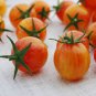 100 Pcs Sunrise Bumble Bee Tomato Sweet Tangy Fruit Cheerful Marbled Red Yellow Fruits