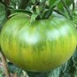 300 Pcs 'Green Colorful' Indeterminate Tomato Organic Seeds