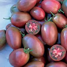 300 Pcs 'Purple Shengnv' Indeterminate Tomato Organic Seeds