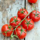 300 Pcs 'Fire Red' Round Cherry Tomato Organic Seeds 300 Pcs 'Fire Red' Round Cherry Tomato Organic Seeds