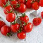 300 Pcs 'Fire Red' Round Cherry Tomato Organic Seeds