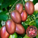 300 Pcs 'Purple Rose' Cherry Tomato Organic Seeds 300 Pcs 'Purple Rose' Cherry Tomato Organic Seeds