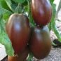 300 Pcs 'Purple Rose' Cherry Tomato Organic Seeds
