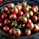 300 Pcs 'Black Cherry' Indeterminate Tomato Organic Seeds 300 Pcs 'Black Cherry' Indeterminate Tomato Organic Seeds