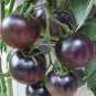 300 Pcs 'Black Cherry' Indeterminate Tomato Organic Seeds