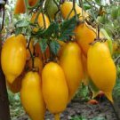 120 Pcs Rare Yellow 'Banana' Long Tomato Organic Seeds 120 Pcs Rare Yellow 'Banana' Long Tomato Organic Seeds