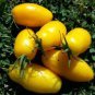 120 Pcs Rare Yellow 'Banana' Long Tomato Organic Seeds