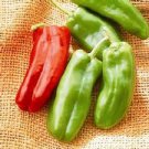 100 Pcs Giant Pepper Seeds Giant Marconi Hybrid Sweet Pepper 100 Pcs Giant Pepper Seeds Giant Marconi Hybrid Sweet Pepper