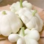 5 Pcs Summer Squash White Patty Pan Scallop