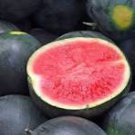8 Pcs Black Long Sweet Watermelon (less seeds) Seeds