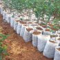 10 Pcs Different Sizes Biodegradable Non-woven Nursery Bags Plant Grow Bags Fabric Seedling