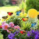 100 Pcs Rare Colorful Wrinkleds, attracting butterfly balcony planting