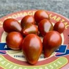 100 Pcs Chocolate Pear-shaped Cherry Tomato