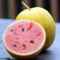 20 Pcs Heirloom Yellow Skin Red Seedless Watermelon