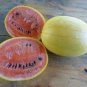 20 Pcs Heirloom Yellow Skin Red Seedless Watermelon