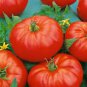 100 Pcs Beefmaster Hybrid F1 Tomato Seeds