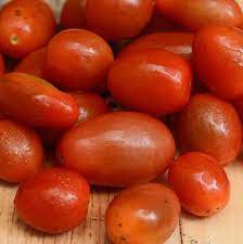 100 Pcs Imported Tomato organic bright red middle fruits
