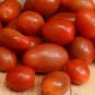 100 Pcs Imported Tomato organic bright red middle fruits