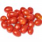 100 Pcs Imported Tomato organic bright red middle fruits