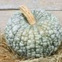 4 Pcs Archaizing Antique Pumpkin
