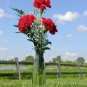 50 Pcs Scarlet Red Carnation Flowers