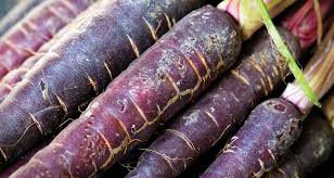 100 Pcs Afghan Purple Carrot Superfood Amazing Colour High Yielding Vegetables