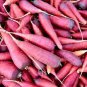 100 Pcs Afghan Purple Carrot Superfood Amazing Colour High Yielding Vegetables