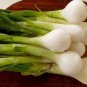 30 Pcs Spring Onion with White root Vegetables