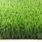 100 Pcs Football Grass evergreen grass