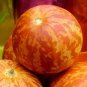 50 Pcs Tigger Tiger Miniature Personal Melon Heirloom Cucumis Melo