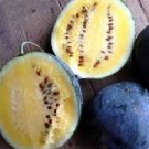 10 Pcs Heirloom Yellow Flesh Janosik Watermelon