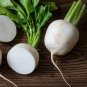 100 Pcs White Egg Snowball Turnip