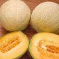 10 Pcs Rare Seeds Golden Honey Melon (Cucumis melo)