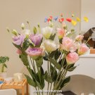 10 Pcs Genuine Eustoma Grandiflorum Flowers 10 Pcs Genuine Eustoma Grandiflorum Flowers