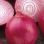 100 Pcs Red Creole Onion Vegetables