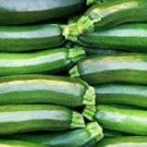 8 Pcs Heirloom Dark Green Zucchini Summer Squash Bonsai Vegetables