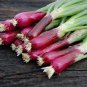 10 Pcs Salad Bunching Red Mate Onion Vegetables