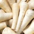 100 Pcs White Gem Parsnip Carrot Vegetables