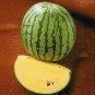 20 Pcs Yellow / Black Skin Watermelon with red meat