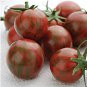 100 Pcs Artisan Purple Bumblebee Cherry Tomato