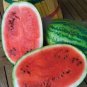 20 Pcs Jubilee Red Mushy Big Sweet Watermelon