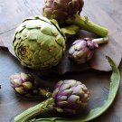 4 Pcs Heirloom Purple Headed Artichoke Organic Vegetables 4 Pcs Heirloom Purple Headed Artichoke Organic Vegetables